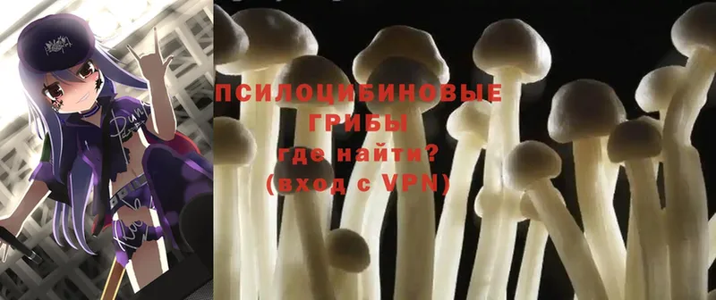 Псилоцибиновые грибы Magic Shrooms  Агрыз 